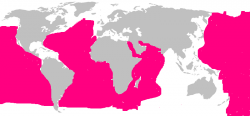 Map of megalodon.png