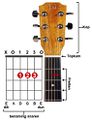 De gitaarakoorden op het gitaarakkoorden diagram.jpeg