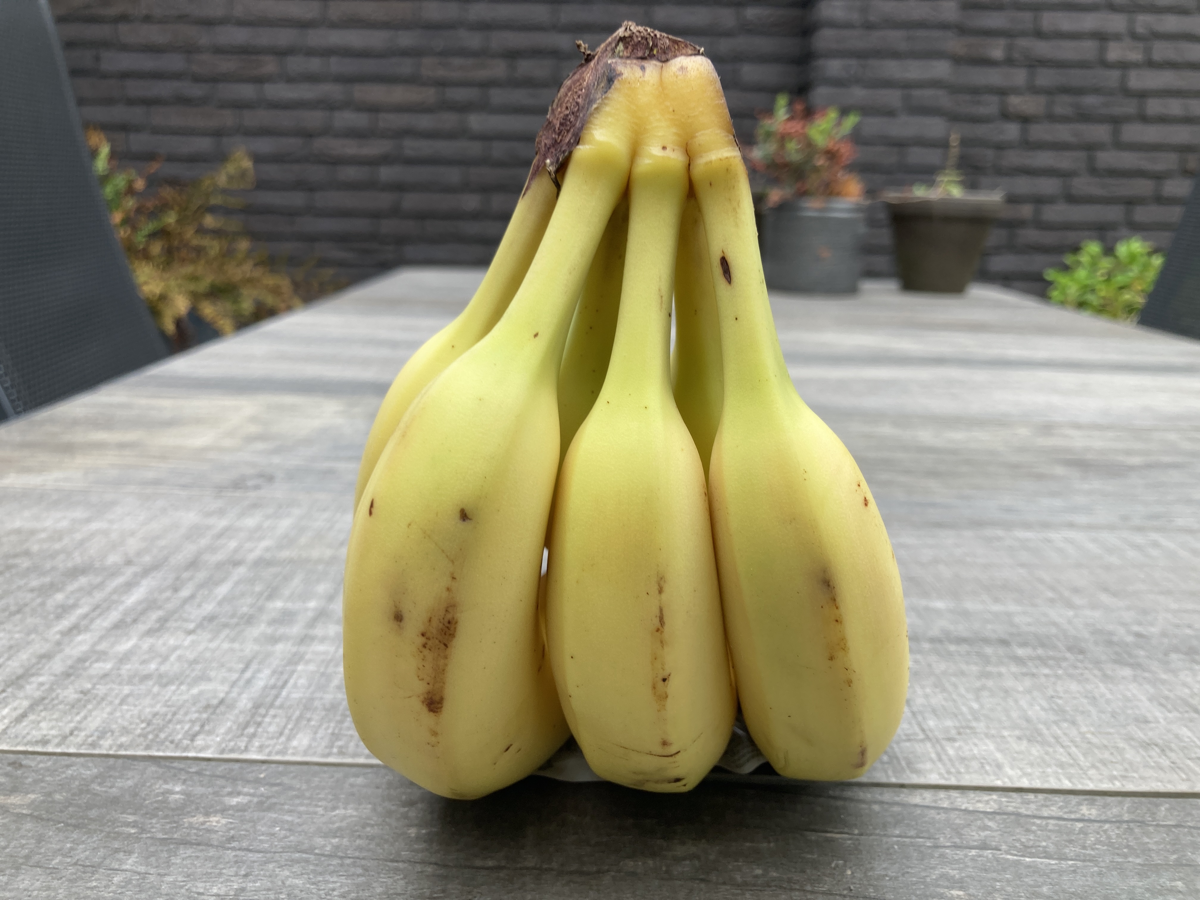 Banaan.jpg
