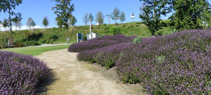 Bestand:MarcaroniFLORIADE.jpg