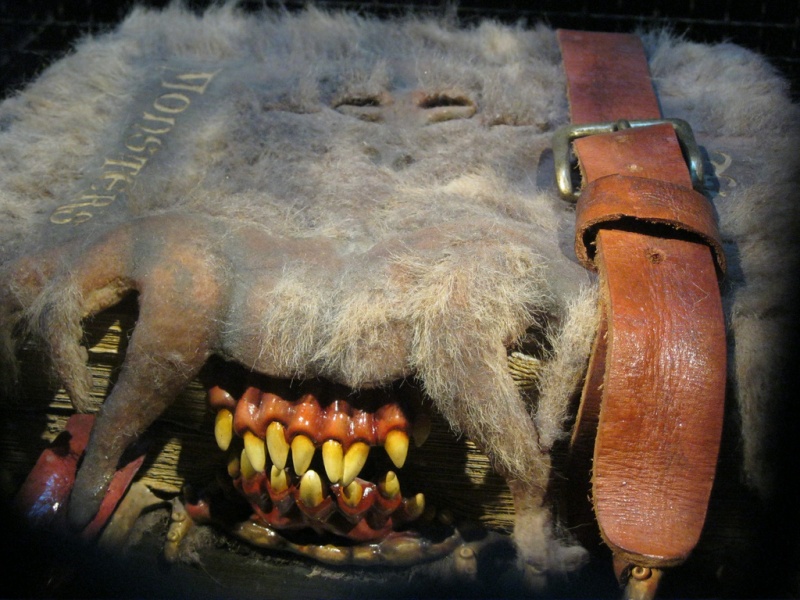 Bestand:Monsterboek harry potter.jpg