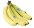 Bananentros.jpg