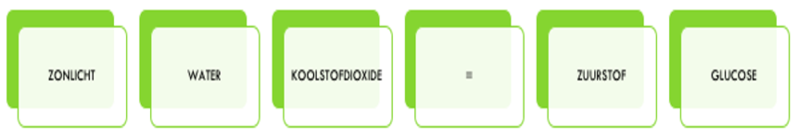 Bestand:Schermafbeelding 2020-10-29 om 15.54.33.png