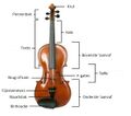 Violinconsruction3 NL.jpg