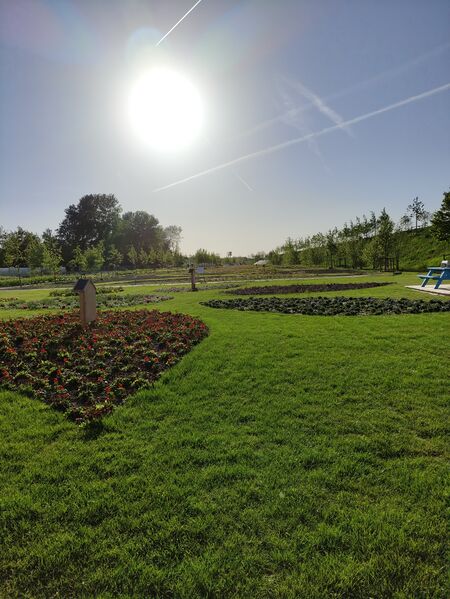 Bestand:Bloementuintjes2Floriade.jpg