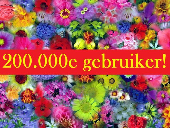 Bloemetje 200000 gebruikers.jpg