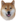 Shiba inu taiki.png