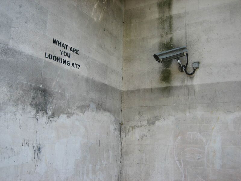 Bestand:Looking at.jpg