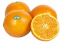 Sinaasappels.jpg